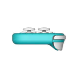 8BitDo Lite2 Spiel Controller Bluetooth Unterstützung Für Nintendo Schalter/Schalter Oled/Schalter Lite/Android/Raspberry Pi Wireless