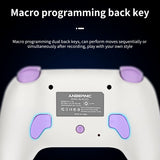 ANBERNIC RG P01 Gamepad Kabelgebundener drahtloser Bluetooth RGB Hall-Effekt-Joystick XBOX-Gamecontroller für PC Android IOS Steam