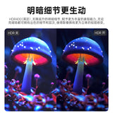 Sculptor OLED 15.6 Inch Monitor 4K Portable Screen 100%Adobe RGB UHD Speakers Game Display