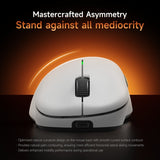 RAWM ER21PRO Gaming Mouse PAW3950 Wireless 8khz