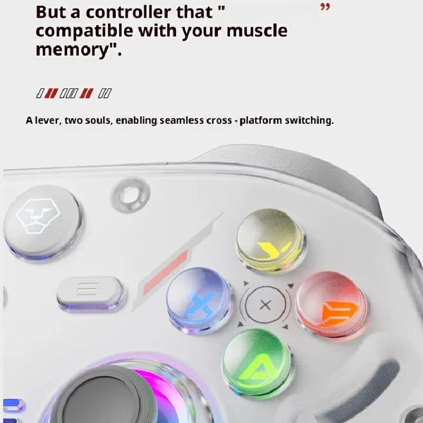 AOLION K30 Wireless Gaming Controller – Minixpc