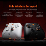 BIGBIG Won Gale Wireless Gaming Controllers for Switch Gamepad with Hall Effect Trigger Function Somatosensory Intelligent Start