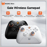 BIGBIG Won Gale Wireless Gaming Controllers for Switch Gamepad with Hall Effect Trigger Function Somatosensory Intelligent Start