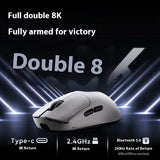 VGN Flying Dragon Y2 Series Wireless  Gaming Mouse